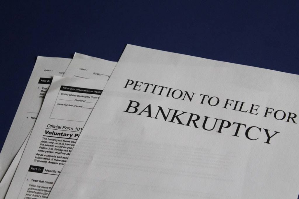 bankruptcy debtors petition